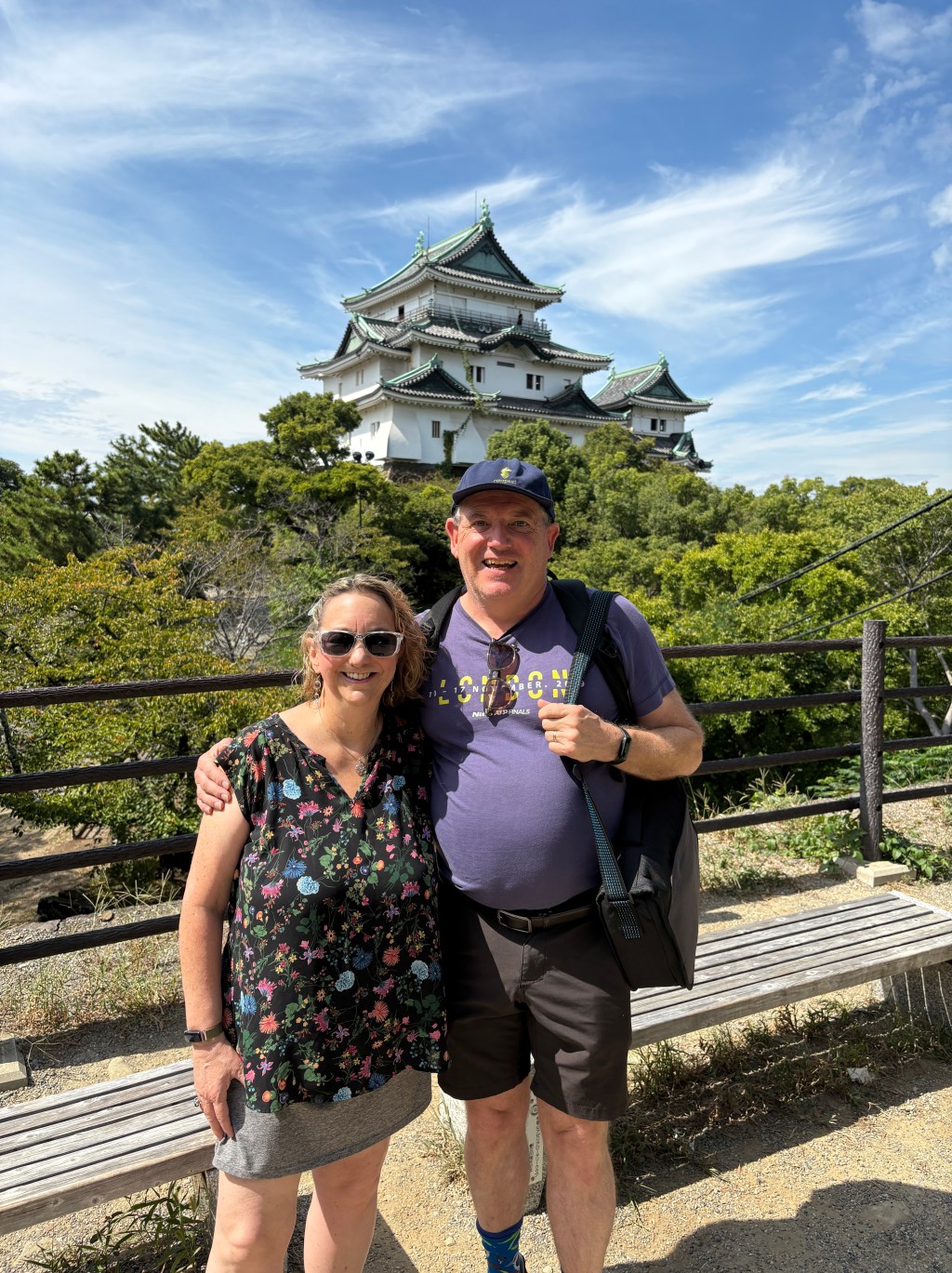 Returning to Wakayama